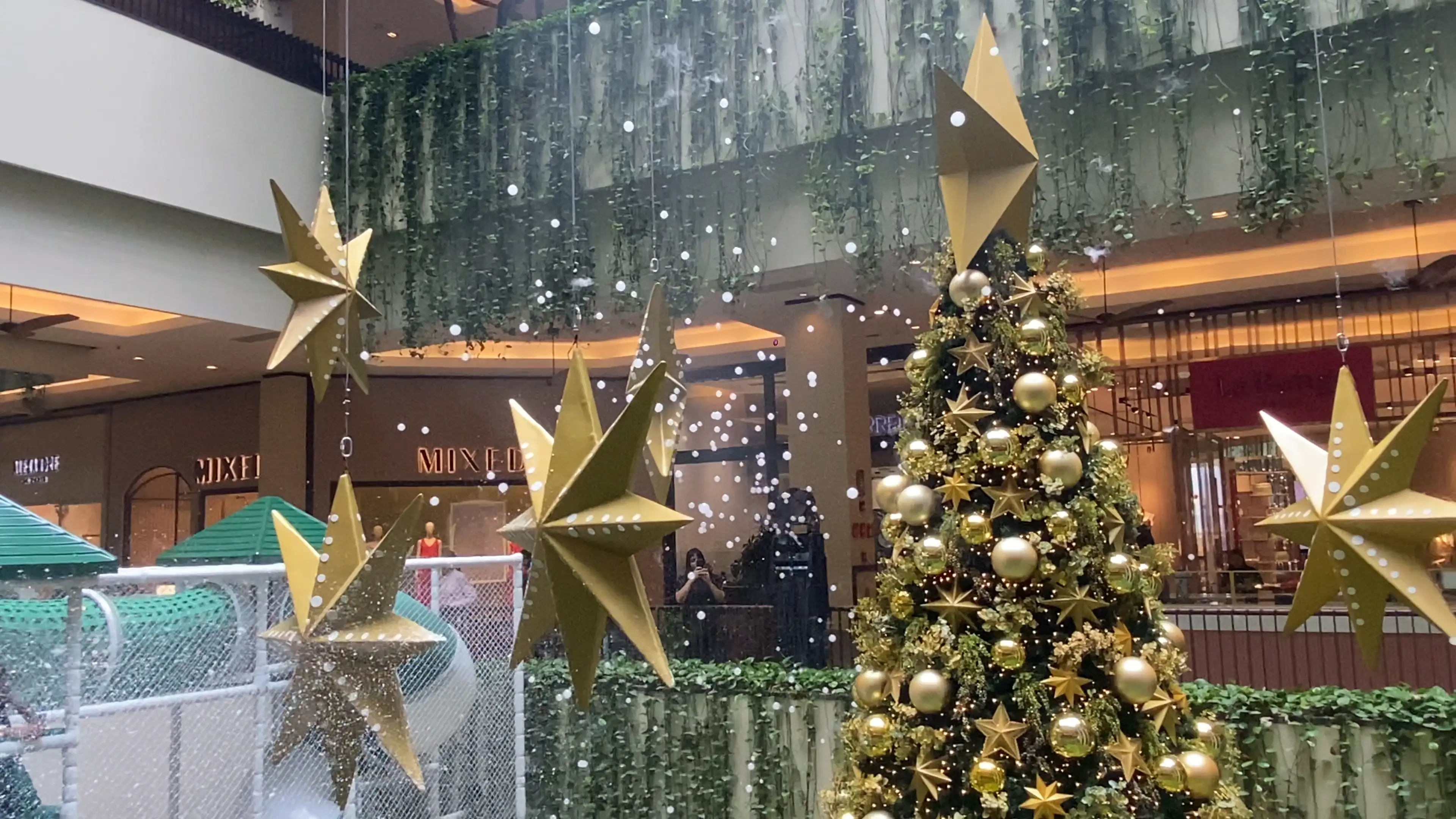 Imagem Galeria
